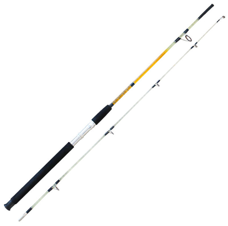 Fishing Rod